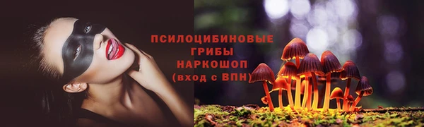 дурь Яровое