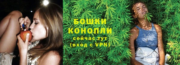 дурь Яровое