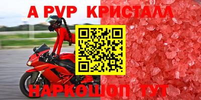 гидра Берёзовский