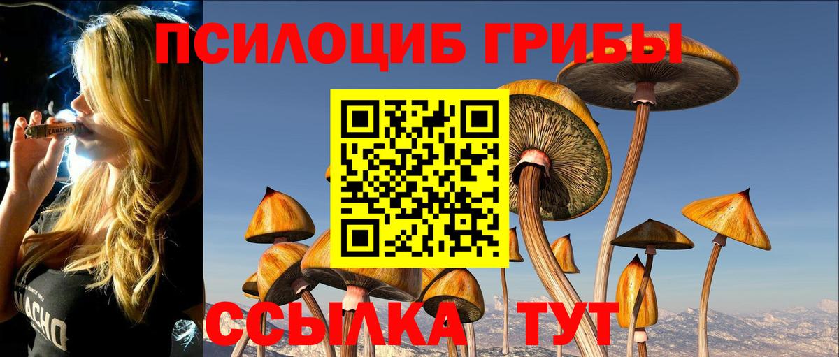 Галлюциногенные грибы MAGIC MUSHROOMS Рубцовск