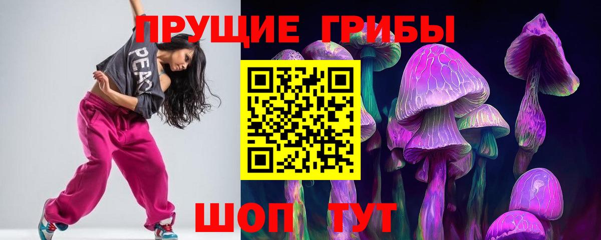 что такое   Галлюциногенные грибы MAGIC MUSHROOMS  Вход с VPN  Рубцовск 