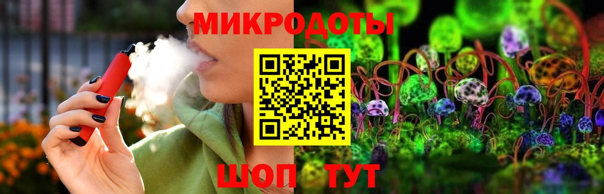 Псилоцибиновые грибы Psilocybe Рубцовск